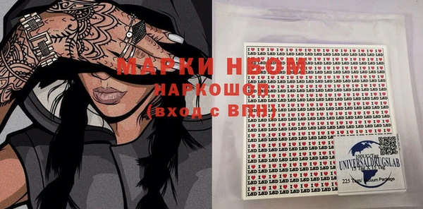 индика Горно-Алтайск