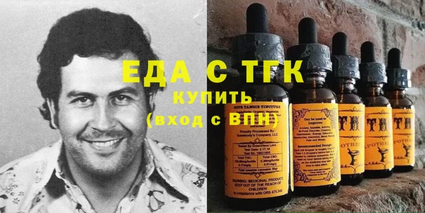 индика Горно-Алтайск