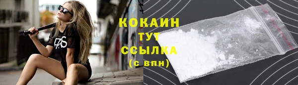 индика Горно-Алтайск