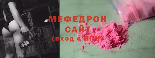 индика Горно-Алтайск