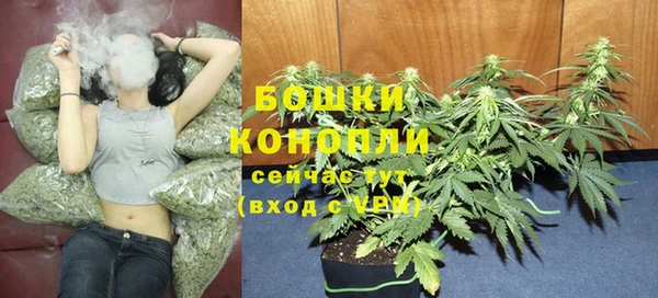 стафф Горнозаводск