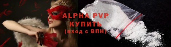 индика Горно-Алтайск