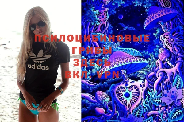 альфа пвп Горняк
