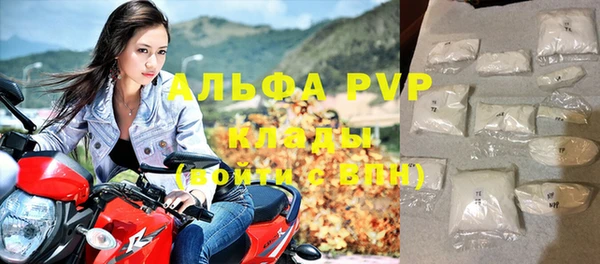 индика Горно-Алтайск