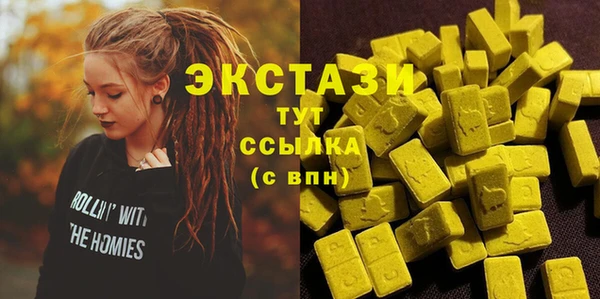 индика Горно-Алтайск