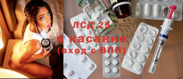 индика Горно-Алтайск